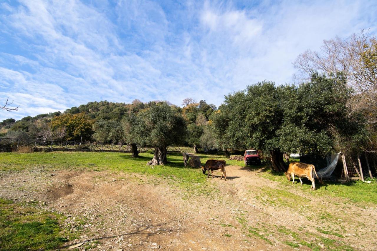 Agriturismo San Basilio Salento Екстер'єр фото